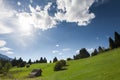 Scenic background of a beautiful green alpine past