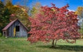 Scenic barn with red tree in autumn