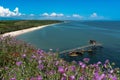 Scenic beach featuring a pier and thistle flowers against a bright blue sky Royalty Free Stock Photo