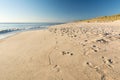 Scenic beach, ocean and dunes in the evening sun Royalty Free Stock Photo