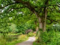 The scenic and beautiful Grand Western Canal, Tiverton, Devon, UK. With bridge.