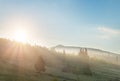 Scenic beautiful panoramic landscape view of old small wooden hut cabin on green mountain hill forest woods meadow at Royalty Free Stock Photo