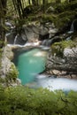 Beautiful creeks of water hurst of Sunik, Slovenia