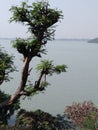 Scenic beauty on the banks of Maithon Dam Royalty Free Stock Photo