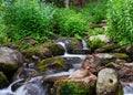 The Scenic Beauty of the Colorado Rocky Mountains Royalty Free Stock Photo