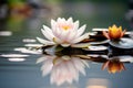 Scenic beauty a lotus flower with a stone on calm water