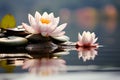 Scenic beauty a lotus flower with a stone on calm water