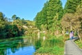 Scenic beauty, Waikato, New Zealand. Te Waihou walkway at the Blue Spring