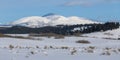 Winter landscapes of Yellowstone National Park in Wyoming