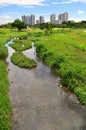 Scenic Bishan Park Royalty Free Stock Photo
