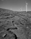 Scenic black and white image of a rustic countryside landscape featuring several windmills