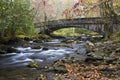 Scenic Bridge in Great Smoky Mountains NP