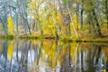 Scenic bright landscape golden multicolored autumn, fall tree alley with yellow leaves along pond. sky reflection mirrored in