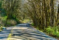 Scenic Cedar River Trail 7