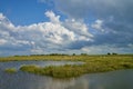 Flooded salt marshes at Langwarder Groden Germany during high tide Royalty Free Stock Photo