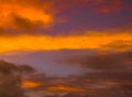 Osprey in the Stormy Dawn Sky