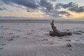 A piece of wood on the beach in Vejers Strand Denmark in front of scenic sunset sky Royalty Free Stock Photo