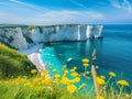 Scenic Coastal Cliffs with Wildflowers