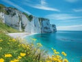 Scenic Coastal Cliffs with Wildflowers and Turquoise Sea