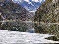 Scenic coastal landscape with steep glacially polished cliffs and floating ice at Tracy Arm Fjord