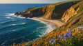 Coastal Beauty: Wildflowers Bloom on Cliffside Overlooking the Ocean and Sandy Beach Royalty Free Stock Photo