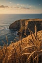 Golden Wheat Field Overlooking Dramatic Coastal Cliffs at Sunset Royalty Free Stock Photo