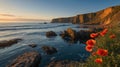 Coastal Serenity: Poppy Field and Cliffs at Sunrise by the Sea Royalty Free Stock Photo