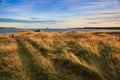 Scenic coastline of Newfoundland and Labrador Royalty Free Stock Photo