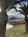 Scenic coastline with palms