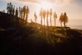 Scenic coastline with silhouette of trees and sea at warm sunrise in Brazil. Aerial view