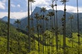 The scenic Cocora Valley with Quindio wax palm trees on the foreground, in Colombia