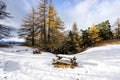 Scenic cold winter landscape with snow and trees and bench