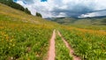 Scenic Colorado landscape of wildflowers meadow along Brush creek trail with cloudy sky Royalty Free Stock Photo