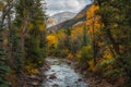 Scenic Colorado River Landscape Autumn Colors Epic Landscape Fall Autumn Royalty Free Stock Photo