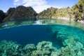 Scenic Coral Reef in Raja Ampat, Indonesia