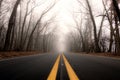 Scenic Country Road on a Foggy Winter Morning