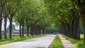 Scenic country road with row of trees in Netherlands