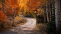 Scenic country road in Utah through tunnel of gold and red autumn trees