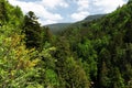 Scenic countryside landscape in the Black Forest: hiking through green forest with amazing views in spring near