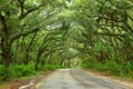 Scenic Countryside Road Royalty Free Stock Photo