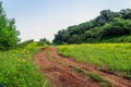 Scenic countryside road passing through lush green grass and trees, through village Royalty Free Stock Photo