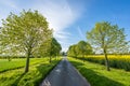 Scenic countryside road surrounded by trees in day . france Royalty Free Stock Photo