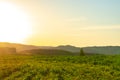 Scenic countryside sunset landscape with a plain wild grass field horizon view and a forest