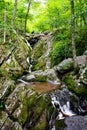 Scenic Dark Hollow Falls at Shenandoah National park in summer Royalty Free Stock Photo