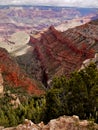 US National Parks, Grand Canyon National Park Royalty Free Stock Photo