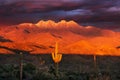 Scenic desert landscape with Saguaro cactus and the Four Peaks mountain range in Arizona Royalty Free Stock Photo