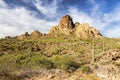 Scenic Desert Landscape and Saguaro Cactus Plants in Arizona Superstition Mountains Royalty Free Stock Photo