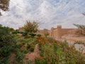 Scenic desert path lined with trees leading to the Narin Castle in the town of Meybod in Iran Royalty Free Stock Photo