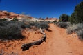 Scenic Desert Trail