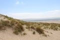 Scenic display of grass grown on white sand dunes captured at a shoreline